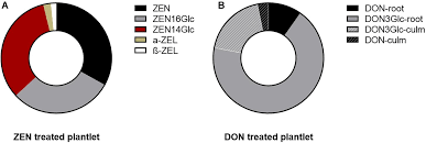 Plant cell tissue and organ culture abbreviation. Frontiers Mycotoxin Uptake In Wheat Eavesdropping Fusarium Presence For Priming Plant Defenses Or A Trojan Horse To Weaken Them Plant Science
