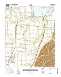 reelfoot lake topo map in lake county tennessee