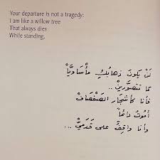 بوستات انجليزى صور بوستات انجليزى مترجمة للغة العربية بفبوف