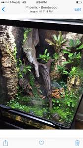 18x18x24 R Varadero Build Dendroboard Varadero Winter Garden Plants