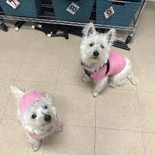 Maybe you would like to learn more about one of these? The Family Pet Hospital Ashland Ma