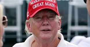 WEEKLY BRIEFLY NOTED for 2024-10-24 Th