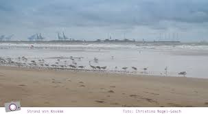 Der strand ist etwa 12 kilometer lang und durchschnittlich ±70 meter breit. Belgische Kuste 7 Tipps Fur Deinen Urlaub In Belgien