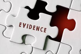 Expert Evidence in Civil Litigation ...