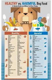 Dog Food Do S And Don Ts Dog Food Recipes Healthy Dogs Healthy Dog Food Recipes