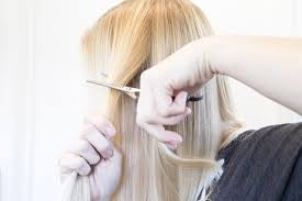 Hair cutting thinning scissors shears set for professional barber salon kit 6.5. Pin On Self