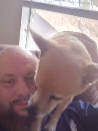 Lost dog found at Java Quest, friendly