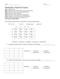 Displaying top 8 worksheets found for chapter 10 dihybrid cross answer key. Worksheet Dihybrid Crosses