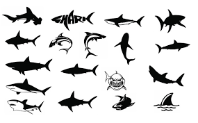 Download Shark Svg Cut Files Silhouette Clipart Vinyl By Qwasvg On Zibbet