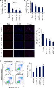 Search a wide range of info from across the web with theresultsengine.com Dot1l Promotes Angiogenesis Through Cooperative Regulation Of Vegfr2 With Ets 1 Oncotarget