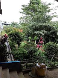 Pt lontar papyrus pulp & paper industry, pt lpppi, pt lp3i, jambi 103 km. Hwmmjmrlh2jxtm