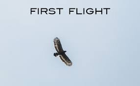 First Flight