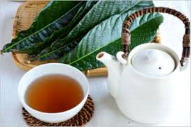 びわの葉茶の好転反応について 効能や作り方は