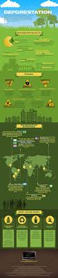 Biotic Factors In The Amazon Rainforest Infographic What Is Driving Deforestation And What Can You Do About It Environment Deforestation Environmental Conservation