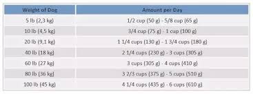 how much food you should feed a dog quora