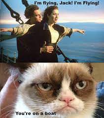 Tard Didn T Care For Titanic Funny Grumpy Cat Memes Angry Cat Memes Grumpy Cat