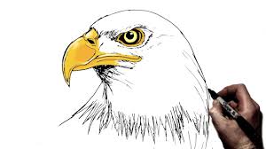 This makes it easy to understand how everything's connected. How To Draw An Eagle Step By Step Youtube