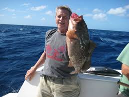 Boat tours & water sports in siesta key. Water Sports And Activities Tropical Breeze Resort Hotel