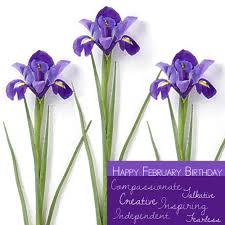 The birth flowers for february are pretty violets and showy irises, as well as dainty primroses. Happy February Birthday From Freytag S Florist February Birth Month Flower Is The Iris The Birth Color I Birth Flowers February Birthday Birth Month Flowers