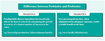 Living strains of bacteria that add to the population of good bacteria in your digestive system. Human Milk Immunological Component Its Effect On Immunity Through Gut Danone Nutricia Academy