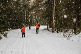Winters may be cold, but they can still be fun. Best Ontario Parks To Visit In The Winter