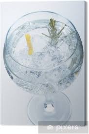 Den rosmarin klein hacken und den ingwer von der schale entfernen und reiben. Leinwandbild Rosmarin Und Zitrone Gin Tonic Isoliert Uber Weiss Pixers Wir Leben Um Zu Verandern