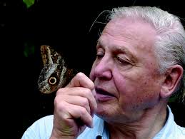 Antenna author guidelines