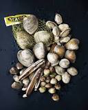 What is the best tasting clams?
