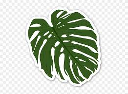 Palm Leaf Sticker Drawing Clipart 1944116 Pinclipart 7,000+ vectors, stock photos & psd files.