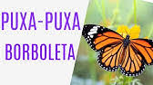 Puxada Do Porco Jogo Do Bicho Youtube