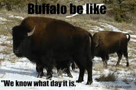 Meme Of The Week Guess What Day It Is Happy Friday The 13th Guess Day