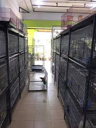 14, jalan tengku ampuan zabedah a 9/a, seksyen 9, 40100 shah alam, selangor, malaysia. Salehuddin Saidin Associates Home Facebook