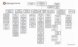 museum organizational chart yahoo image search results