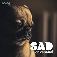 Música para practicar español en spotify. Musica Sad En Espanol 2021 Tristes En Espanol Playlist By Indiemono Spotify