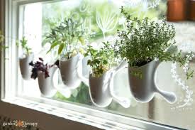 Either make a row or do a little layering, add some lights, and you have a living chandelier to brighten up any room in your house. My Indoor Herb Growing Schedule Throughout The Year Garden Therapy
