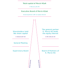 The company operates in three business segments: Capital Structure And Governance Bodies Of Merck Kgaa Merck Annual Report 2017