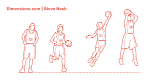 How tall is steve nash? at the moment, 03.01.2020, we have next information/answer: Steve Nash Dimensions Drawings Dimensions Com