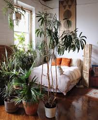 Prenez Soin De Vos Plantes D Interieur Comme Un Pro Creez Votre Jungle Chez Vous Plant House Community Plan En 2020 Idees Decoration Maison Deco Interieure Deco
