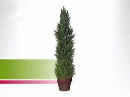 12 Foot Artificial Outdoor Cypress Tree