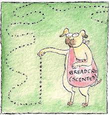 How Dogs Find Their Way Home The New York Times