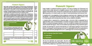 California cpa ethics exam answer key; Punnett Square Practice Worksheet Answers Life Science