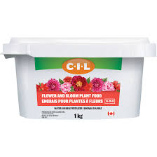 Just make sure you protect them from slugs and snails. Cil C I L Flower And Bloom Plant Food Water Soluble 15 30 15 1 Kg 2270200 Rona