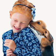 Search for dogs for adoption at shelters near houston, tx. Pet City Houston Puppies For Sale Houston S 1 Pet Store