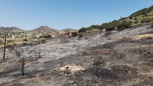 Οι φλόγες πέρασαν και από τις αυλές σπιτιών. Bpcn3 Jrwtm5km