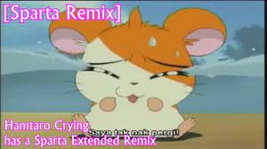 Sparta Remix] Hamtaro Crying - Sparta Extended Remix - YouTube