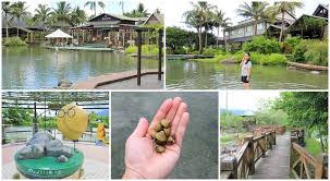 2 花莲立川渔场 hualian lichuan fishery (190) 3 左营 zuoying (119) 4 卓尔山 (465) 5 隆务河 (118) 6 乌恰 wuqia (161) 7 寇德福特 coldfoot (118) 8 海舌公园 haishe park (116) 9 桃源码头 taoyuan terminal (153) 10 天主堂 catholic church (108) 11 圣荷西州立大学 (108) 12 库比蒂诺 cupertino (110) Rqe Kkpurwp0om