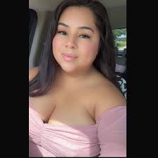 What mobile window tinting companies service Lake Wales?