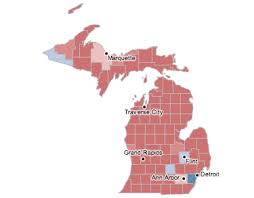 Michigan Election Results 2010 The New York Times
