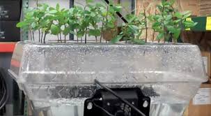 Aeroponic plant cloners are a great way to propagate stubborn plant cuttings. The Best Hydroponic And Aeroponic Cloning Machines For Plants Epic Gardening