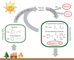 China chemicals other organic chemicals companies in china. The Fuel Of Atmospheric Chemistry Toward A Complete Description Of Reactive Organic Carbon Science Advances